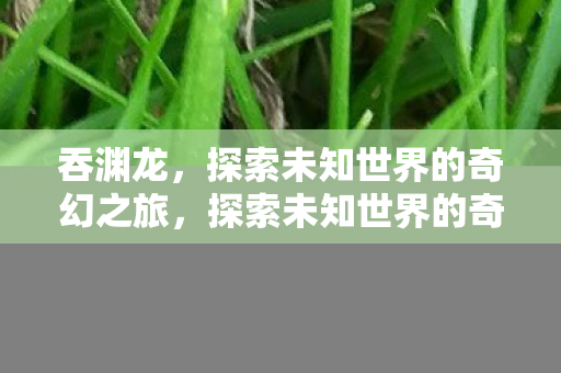 吞渊龙,探索未知世界的奇幻之旅,探索未知世界的奇幻之旅,吞渊龙登场 吞渊龙,探索未知世界的奇幻之旅,探索未知世界的奇幻之旅,吞渊龙登场