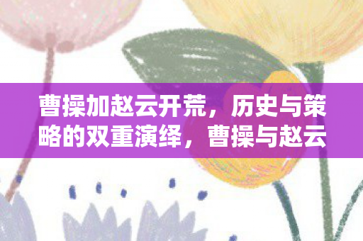 曹操加赵云开荒,历史与策略的双重演绎,曹操与赵云,历史与策略的双重演绎 曹操加赵云开荒,历史与策略的双重演绎,曹操与赵云,历史与策略的双重演绎