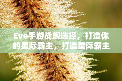 Eve手游战舰选择,打造你的星际霸主,打造星际霸主,Eve手游战舰选择指南 Eve手游战舰选择,打造你的星际霸主,打造星际霸主,Eve手游战舰选择指南