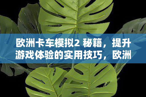 欧洲卡车模拟2 秘籍，提升游戏体验的实用技巧，欧洲卡车模拟2，提升游戏体验的秘籍与实用技巧