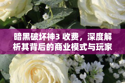 暗黑破坏神3 收费，深度解析其背后的商业模式与玩家体验，暗黑破坏神3收费模式深度剖析，商业策略与玩家体验