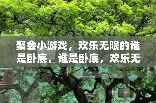 聚会小游戏,欢乐无限的谁是卧底,谁是卧底,欢乐无限的聚会小游戏 聚会小游戏,欢乐无限的谁是卧底,谁是卧底,欢乐无限的聚会小游戏