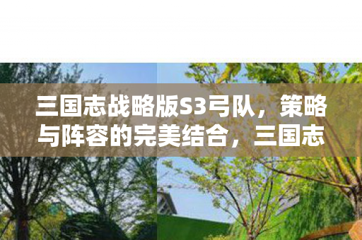 三国志战略版S3弓队,策略与阵容的完美结合,三国志战略版S3弓队,策略与阵容的完美融合 三国志战略版S3弓队,策略与阵容的完美结合,三国志战略版S3弓队,策略与阵容的完美融合