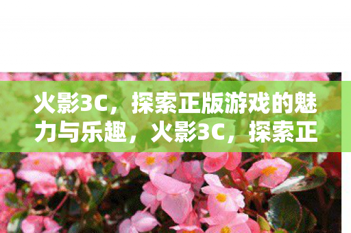 火影3C,探索正版游戏的魅力与乐趣,火影3C,探索正版游戏的魅力与乐趣 火影3C,探索正版游戏的魅力与乐趣,火影3C,探索正版游戏的魅力与乐趣