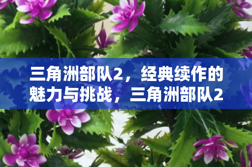 三角洲部队2,经典续作的魅力与挑战,三角洲部队2,经典续作的魅力与挑战 三角洲部队2,经典续作的魅力与挑战,三角洲部队2,经典续作的魅力与挑战