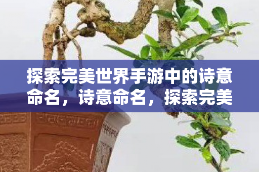 探索完美世界手游中的诗意命名，诗意命名，探索完美世界手游中的文化韵味