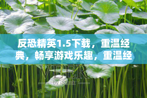 反恐精英1.5下载,重温经典,畅享游戏乐趣,重温经典反恐精英1.5,畅享游戏乐趣下载 反恐精英1.5下载,重温经典,畅享游戏乐趣,重温经典反恐精英1.5,畅享游戏乐趣下载