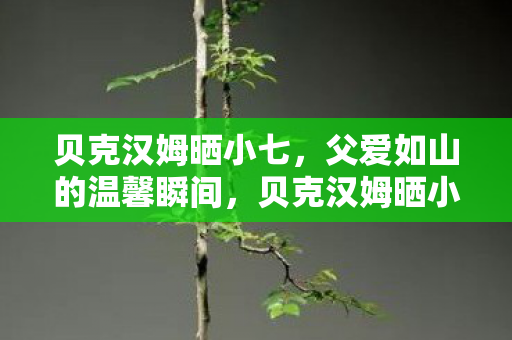 贝克汉姆晒小七,父爱如山的温馨瞬间,贝克汉姆晒小七,父爱如山的温馨瞬间 贝克汉姆晒小七,父爱如山的温馨瞬间,贝克汉姆晒小七,父爱如山的温馨瞬间