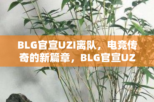 BLG官宣UZI离队图片