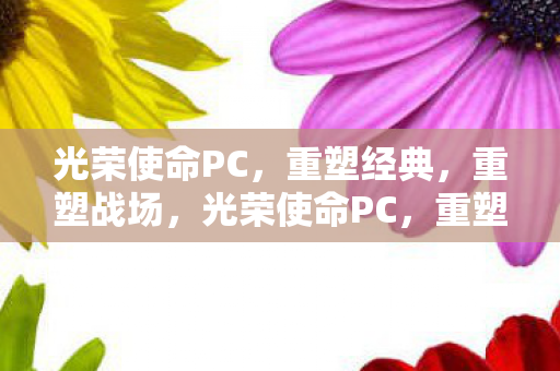 光荣使命PC图片