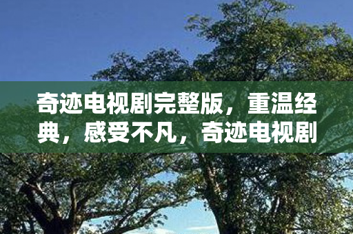 奇迹电视剧完整版图片
