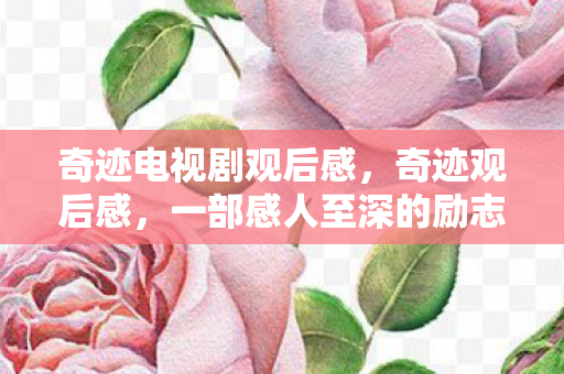 一部感人至深的励志剧图片