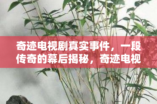 奇迹电视剧真实事件图片