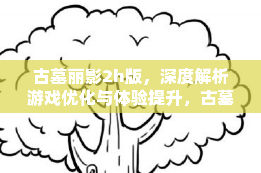 古墓丽影2h版，深度解析游戏优化与体验提升，古墓丽影2h版，深度解析游戏优化与体验提升
