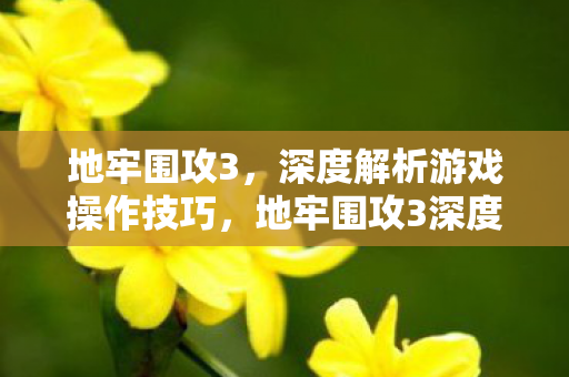 地牢围攻3,深度解析游戏操作技巧,地牢围攻3深度解析,掌握游戏操作技巧 地牢围攻3,深度解析游戏操作技巧,地牢围攻3深度解析,掌握游戏操作技巧