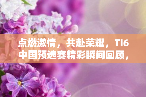 TI6中国预选赛精彩瞬间回顾图片