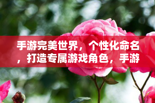 手游完美世界,个性化命名,打造专属游戏角色,手游完美世界,个性化命名,打造专属游戏角色 手游完美世界,个性化命名,打造专属游戏角色,手游完美世界,个性化命名,打造专属游戏角色