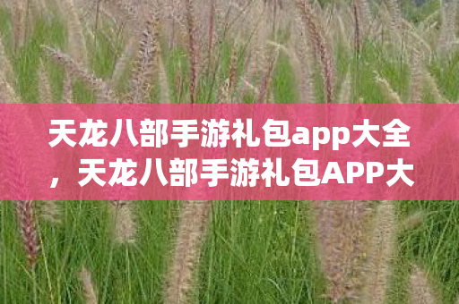 天龙八部手游礼包app大全，天龙八部手游礼包APP大全