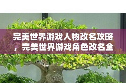 完美世界游戏人物改名攻略,完美世界游戏角色改名全攻略 完美世界游戏人物改名攻略,完美世界游戏角色改名全攻略