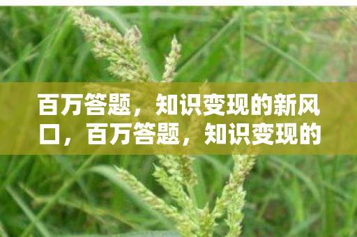 百万答题,知识变现的新风口,百万答题,知识变现的新风口 百万答题,知识变现的新风口,百万答题,知识变现的新风口