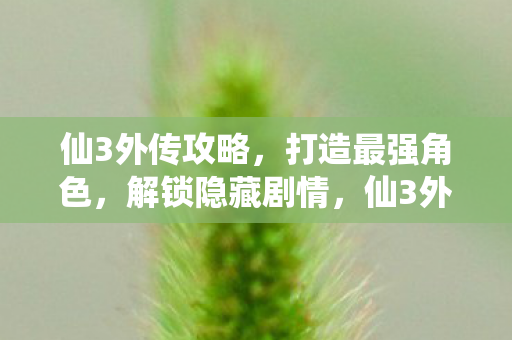 仙3外传攻略,打造最强角色,解锁隐藏剧情,仙3外传攻略,打造最强角色,解锁隐藏剧情全揭秘 仙3外传攻略,打造最强角色,解锁隐藏剧情,仙3外传攻略,打造最强角色,解锁隐藏剧情全揭秘