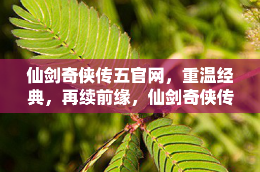 仙剑奇侠传五官网,重温经典,再续前缘,仙剑奇侠传五官网,重温经典,再续前缘 仙剑奇侠传五官网,重温经典,再续前缘,仙剑奇侠传五官网,重温经典,再续前缘