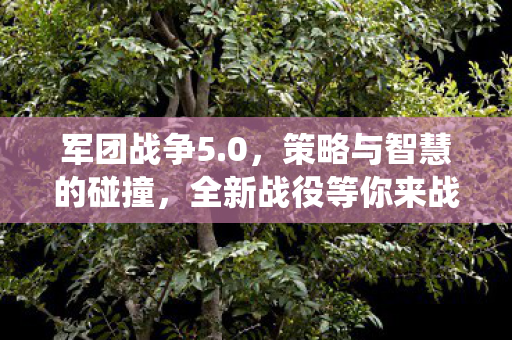 策略与智慧的碰撞图片