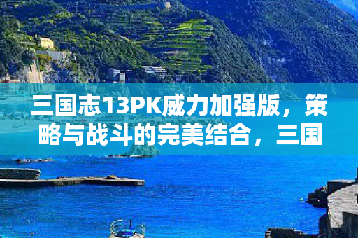 三国志13PK威力加强版图片