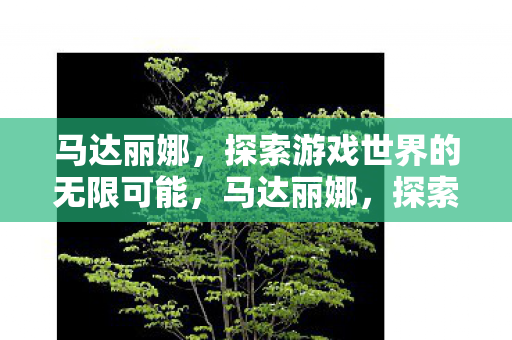 马达丽娜,探索游戏世界的无限可能,马达丽娜,探索游戏世界的无限可能 马达丽娜,探索游戏世界的无限可能,马达丽娜,探索游戏世界的无限可能