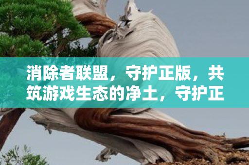 消除者联盟,守护正版,共筑游戏生态的净土,守护正版,共筑游戏生态净土,消除者联盟行动 消除者联盟,守护正版,共筑游戏生态的净土,守护正版,共筑游戏生态净土,消除者联盟行动