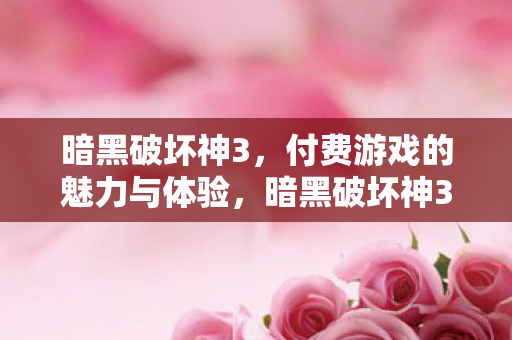 付费游戏的魅力与体验图片
