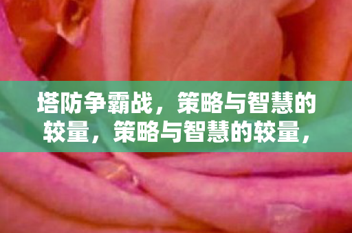 策略与智慧的较量图片