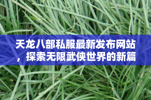 天龙八部私服最新发布网站图片