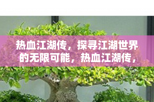 热血江湖传,探寻江湖世界的无限可能,热血江湖传,探寻江湖世界的无限可能 热血江湖传,探寻江湖世界的无限可能,热血江湖传,探寻江湖世界的无限可能