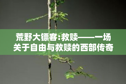 荒野大镖客:救赎——一场关于自由与救赎的西部传奇,荒野大镖客:救赎——西部传奇的自由与救赎之旅 荒野大镖客:救赎——一场关于自由与救赎的西部传奇,荒野大镖客:救赎——西部传奇的自由与救赎之旅