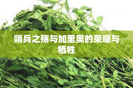 神樱大祓,探索古老仪式与现代文化的交融,神樱大祓,古老仪式与现代文化的交融探索 神樱大祓,探索古老仪式与现代文化的交融,神樱大祓,古老仪式与现代文化的交融探索