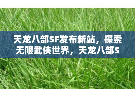 天龙八部SF发布新站图片