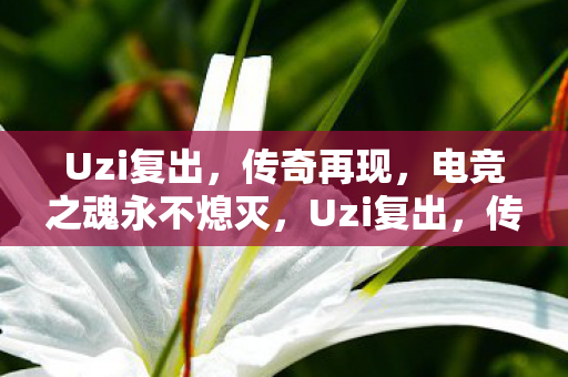 Uzi复出,传奇再现,电竞之魂永不熄灭,Uzi复出,传奇再现,点燃电竞之魂永不熄灭的火焰 Uzi复出,传奇再现,电竞之魂永不熄灭,Uzi复出,传奇再现,点燃电竞之魂永不熄灭的火焰