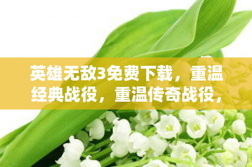 英雄无敌3免费下载,重温经典战役,重温传奇战役,英雄无敌3,重温经典传奇战役免费下载 英雄无敌3免费下载,重温经典战役,重温传奇战役,英雄无敌3,重温经典传奇战役免费下载