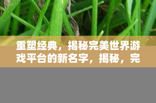 重塑经典,揭秘完美世界游戏平台的新名字,揭秘,完美世界游戏平台新名字重塑经典 重塑经典,揭秘完美世界游戏平台的新名字,揭秘,完美世界游戏平台新名字重塑经典