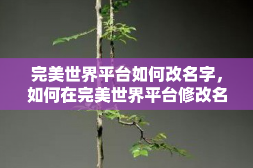 完美世界平台如何改名字,如何在完美世界平台修改名字 完美世界平台如何改名字,如何在完美世界平台修改名字