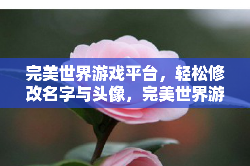 完美世界游戏平台,轻松修改名字与头像,完美世界游戏平台,轻松改名换头像,打造个性化游戏体验 完美世界游戏平台,轻松修改名字与头像,完美世界游戏平台,轻松改名换头像,打造个性化游戏体验
