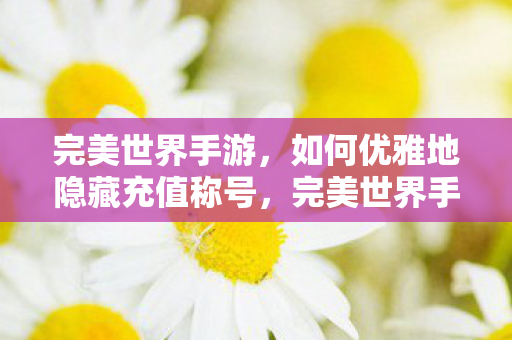 完美世界手游,如何优雅地隐藏充值称号,完美世界手游隐藏充值称号技巧大揭秘 完美世界手游,如何优雅地隐藏充值称号,完美世界手游隐藏充值称号技巧大揭秘
