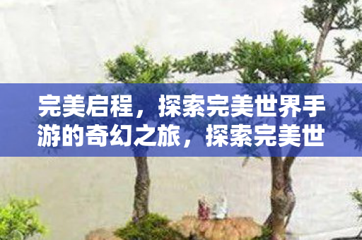 完美启程,探索完美世界手游的奇幻之旅,探索完美世界手游,奇幻之旅的完美启程 完美启程,探索完美世界手游的奇幻之旅,探索完美世界手游,奇幻之旅的完美启程