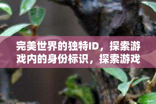 完美世界的独特ID,探索游戏内的身份标识,探索游戏内身份标识,完美世界的独特ID 完美世界的独特ID,探索游戏内的身份标识,探索游戏内身份标识,完美世界的独特ID