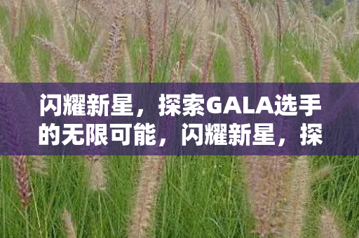 闪耀新星,探索GALA选手的无限可能,闪耀新星,探索GALA选手的无限可能 闪耀新星,探索GALA选手的无限可能,闪耀新星,探索GALA选手的无限可能