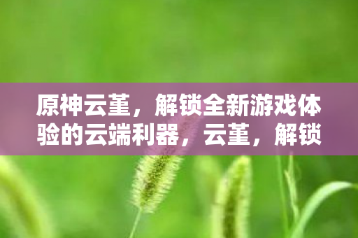 原神云堇,解锁全新游戏体验的云端利器,云堇,解锁原神全新游戏体验的云端利器 原神云堇,解锁全新游戏体验的云端利器,云堇,解锁原神全新游戏体验的云端利器