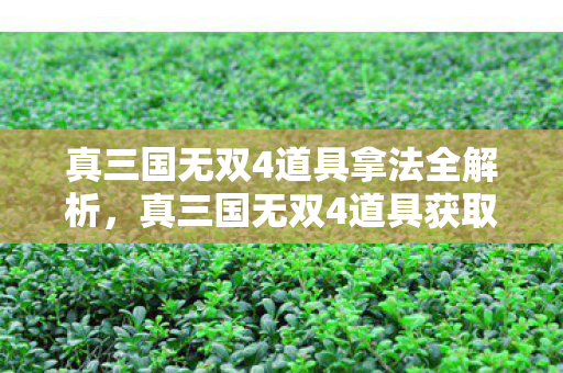 真三国无双4道具拿法全解析,真三国无双4道具获取攻略全解析 真三国无双4道具拿法全解析,真三国无双4道具获取攻略全解析