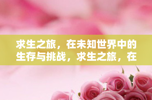 在未知世界中的生存与挑战图片