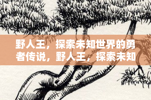 探索未知世界的勇者传说图片